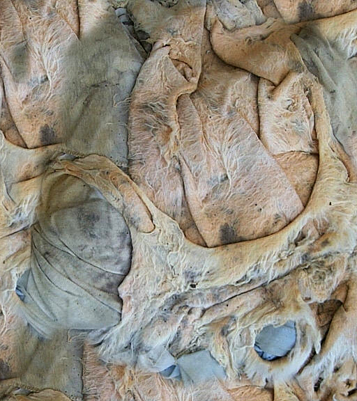 Aug 03 99 11 newsletter