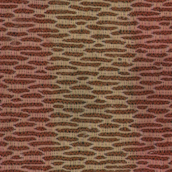 Fabric Random1 043 Fabric Random1 043