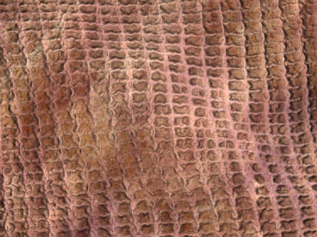 Fabric Random1 055
